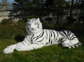 Obrázek z Tygr bílý OBR plyš ležící 220cm 