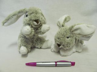 Obrázek z Zajíček plyš 15cm, 2dr (12) 