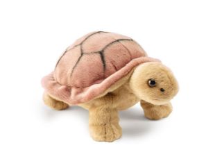 Obrázek z Želva plyš 22cm 