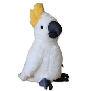 Obrázek z Papoušek bílý plyš 33cm 