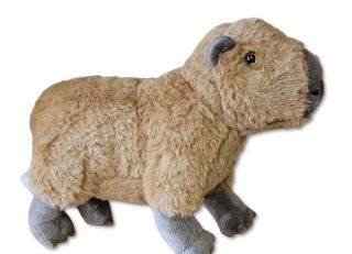 Obrázek z Kapybara plyš 35 cm 