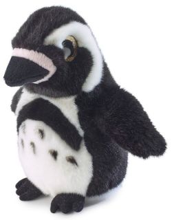 Obrázek z Tučňák brýlový plyš 20cm, velké oči(6) 
