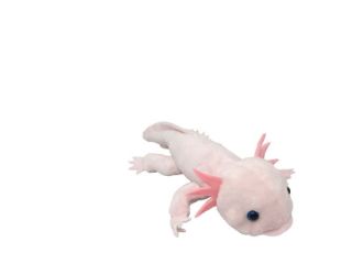 Obrázek z Axolotl plyš 24cm 