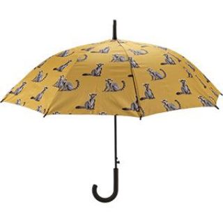 Obrázek z Deštník pro dospělé 94cm - lemur 