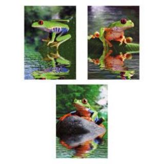 Obrázek z Obrázek 3D měnící 50x35cm - žáby (16) 