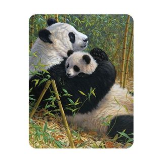 Obrázek z Magnet 3D 7x9cm - panda s mládětem (25) 