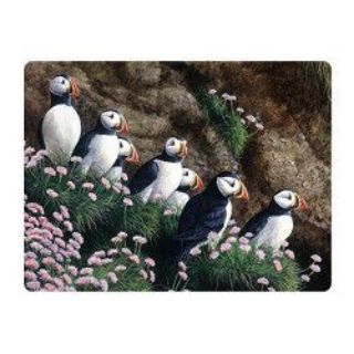 Obrázek z Pohlednice 3D 16cm - papuchalkové (25) 