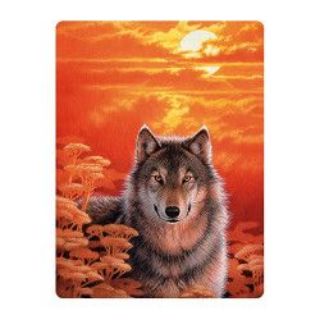 Obrázek z Pohlednice 3D 16cm - vlk při západu slunce (25) 
