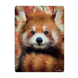 Obrázek z Pohlednice 3D 16cm - panda červená (25) 