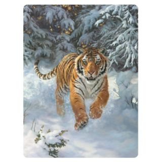 Obrázek z Pohlednice 3D 16cm - tygr hnědý ve sněhu (25) 