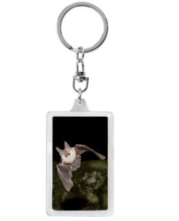 Obrázek z Klíčenka 3D 3,6x5,6cm - netopýr (12) 