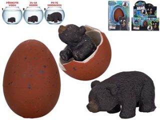 Obrázek z Vejce rostoucí medvěd černý (12) 