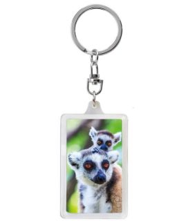 Obrázek z Klíčenka 3D 3,6x5,6cm - lemur(12) 