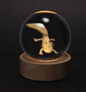 Obrázek z Těžítko axolotl LED světlo USB, barevná sklíčka 